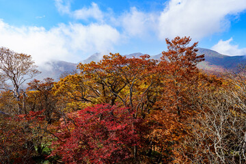 那須ゴンドラ　ゴヨウツツジ展望台からの紅葉風景