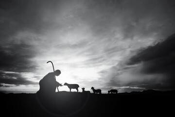 Shepherd Jesus Christ taking care of the lamb and a flock of sheep on the meadow with a brightly rising sunrise landscape
 - obrazy, fototapety, plakaty