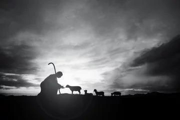 Foto op Canvas Shepherd Jesus Christ taking care of the lamb and a flock of sheep on the meadow with a brightly rising sunrise landscape  © artpluskr