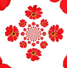 decorative background with red flowers