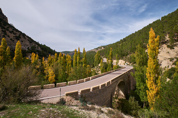 a well-trodden road in the autumn forest