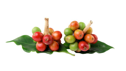 red coffee beans isolated on transparent png