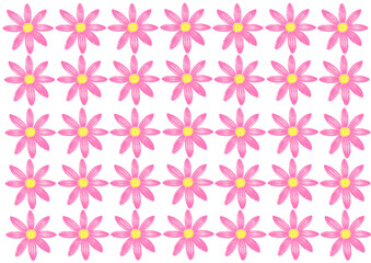 花　ピンク　かわいい　壁紙