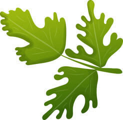 Fototapeta premium sprig of green parsley cartoon style