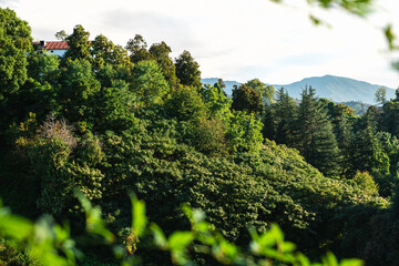 A lonely house with a red roof on top of a hill. Against the backdrop of lush greenery and mountains. Framed by tree branches