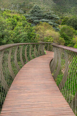  Kirstenbosch Gardens in Cape Town wooden bridge