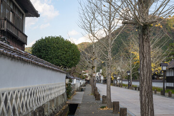 Fototapeta premium 山陰の小京都 秋の津和野 殿町通りの眺め 島根県