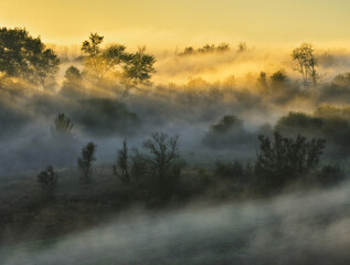 fog in the canyon. Autumn morning in the Dnister river valley. Nature of Ukraine