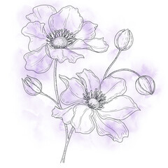 Linear art, anemone flower, made by hand digital with watercolor spots.