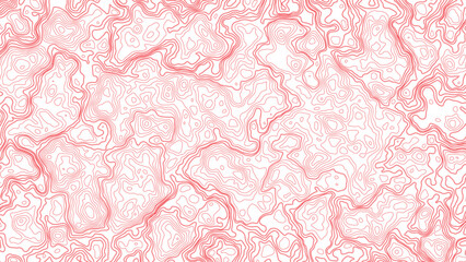 Abstract topography map, vector background.
Background of the topographic map. Topographic map lines.
Vector contour topographic map background.