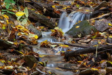 Fototapeta na wymiar A stream running through rocks and brilliant coloured leaves at Indian Falls Conservation Area