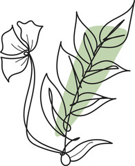 botanical leaf doodle wildflower line art