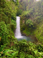 waterfall in jungle