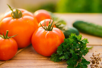 Fresh vegetables on a wooden background. Cucumbers, tomatoes, garlic, dill. Contoured sunlight. Organic farm. Organic vegetables. Summer harvest.