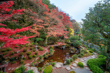 山陰の小京都　秋の奥津和野　堀庭園の紅葉 島根県