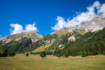 Mountain and pastures landscape in French alps