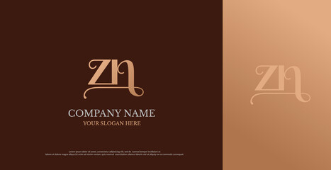 Initial ZN Logo Design Vector 