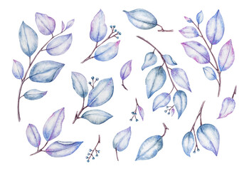 Set of  delicate watercolor branches with blue purple leaves for design