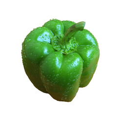 Green bell pepper with water droplets isolated on transparent backdrop, PNG file
