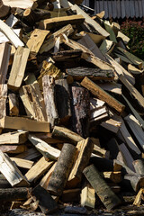 logs lie on the ground after logging. firewood is prepared for heating