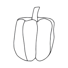 A simple doodle illustration of bright juicy sweet pepper. Sweet Bulgarian pepper.