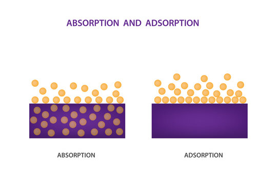 difference between adsorption and absorption vector illustration