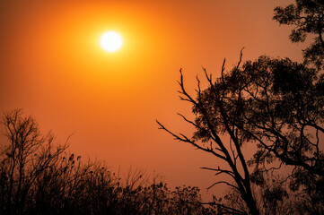 Okavango Delta Sunset