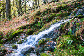 moss covered rocks with a waterfall