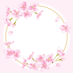 Fototapeta na wymiar 桜の水彩風イラスト　丸フレーム