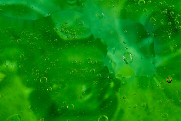 background oil trops in water in front of green