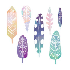 Feathers doodle vector illustrations set.