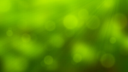 bokeh green nature background with shiny light 
