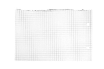 torn paper ripped corner texture page