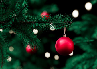 Red baubles hanging on Christmas fir tree. Black and bokeh background. 