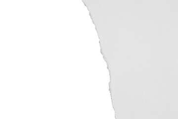 torn paper ripped corner texture page