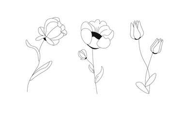hand drawn flowers. set of flowers line art, black contour. Roses, blossom, tulips. Vector illustration nature concept. Spring time. botanical elements on women's day