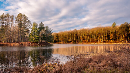 Autumn in the Forest at Stokes State Forest New Jersey
