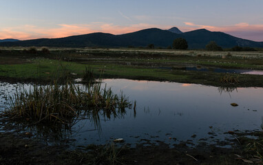 Tamaj&oacute;n lagoon, Guadalajara, Spain
