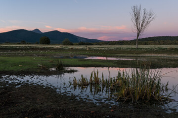 Tamaj&oacute;n lagoon, Guadalajara, Spain