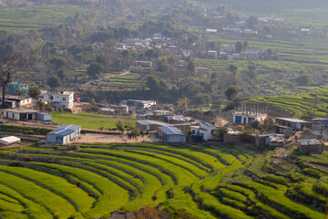 Pleasant green natural hill view with terrace farming. 