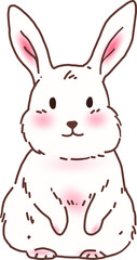 White Rabbit Bunny Illustration