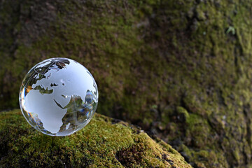 ガラスの地球儀と苔むした樹木　SDGs 環境保護などのイメージ glass globe and a tree covered with lichen
