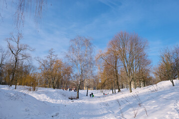 Fototapeta na wymiar Winter landscape of the city park on a clear sunny day