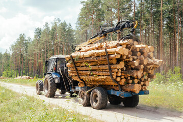 Wood harvesting. European timber industry. Harvester rides in the forest