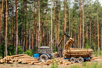 Log loader or forestry machine loads. The logs are folded on the tractor