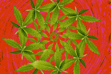 Marihuana Blätter in Kreis mehrere Schichte auf roten Hintergrund