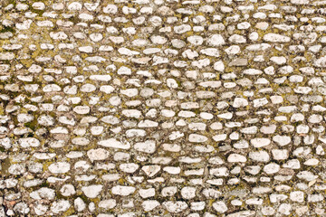 background of soil with cobblestones wrapped with weeds