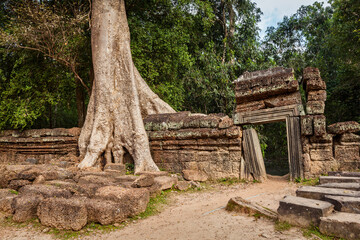 Travel Cambodia concept background - ancient ruins with tree roots, Ta Prohm temple, Angkor, Cambodia