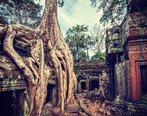 Ancient ruins and tree roots, Ta Prohm temple, Angkor, Cambodia