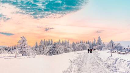 Winterspaziergang, Schwarzwald, Deutschland 